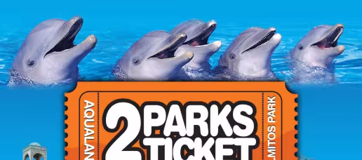 2 Parks Tickets