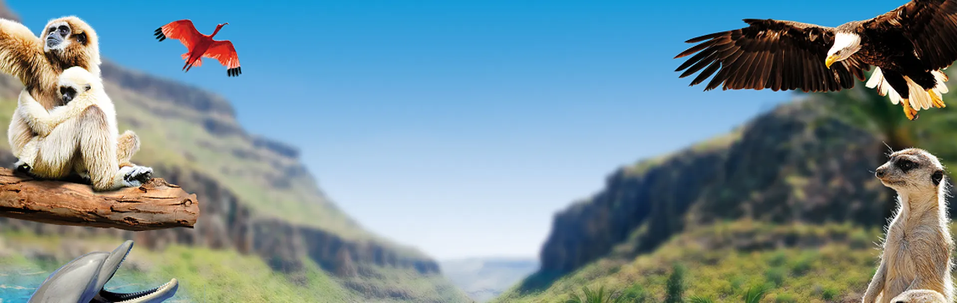 home bg image